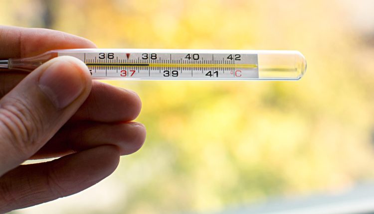 Одамон чигуна ба бемории мавсимии зуком гирифтор мешаванд?